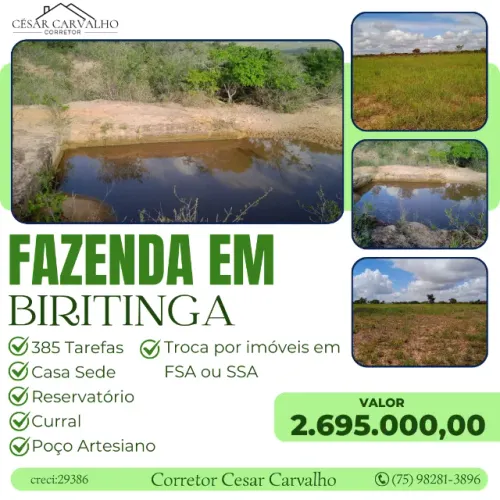 FAZENDA EM BIRITINGA - 385 TAREFAS