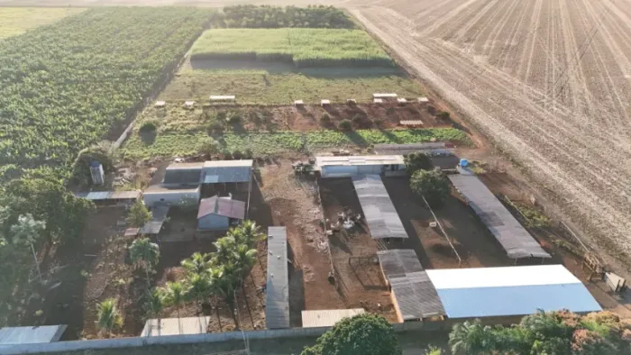 Chácara em Terenos com infraestrutura para confinamento!