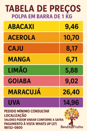 Polpa de Frutas barra 1 KG