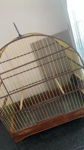 Gaiola fibra número 3 bigodinho