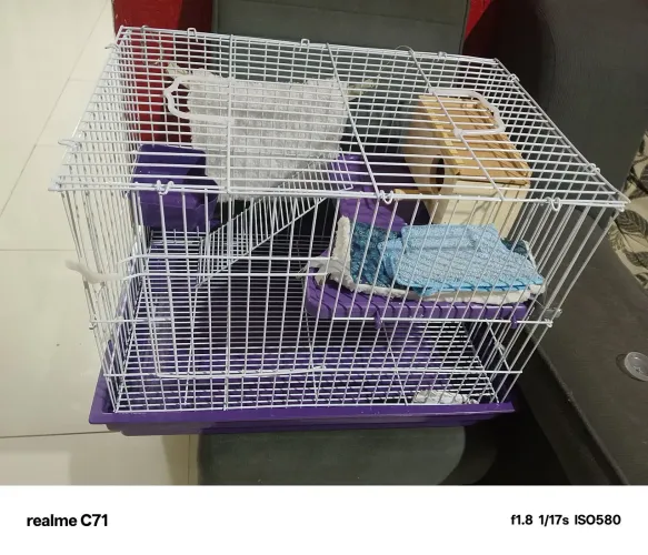 Gaiola em ótimo estado nova, com acessórios dentro vai junto.