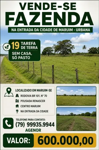 Terreno 