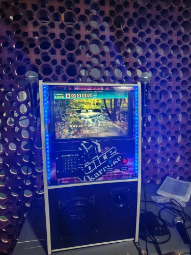 Karaoke profissional
