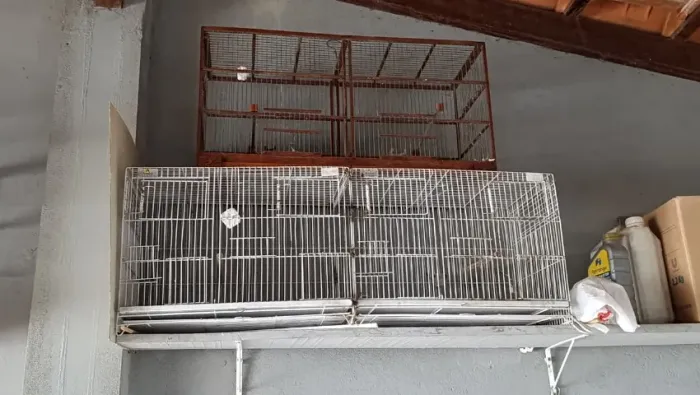 gaiolas de passaros e estaca de canto