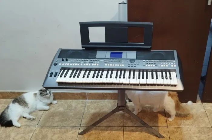 Teclado Arranjador Yamaha PSR-S670 Impecável