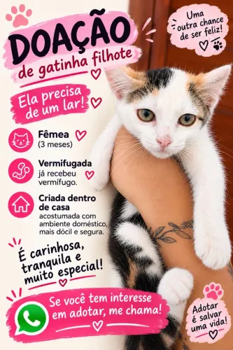 ADOÇÃO RESPONSÁVEL - FEIRA DE SANTANA