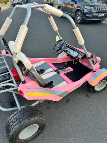 Swell Mini Veiculos Flash Millenium Mini Buggy 2022
