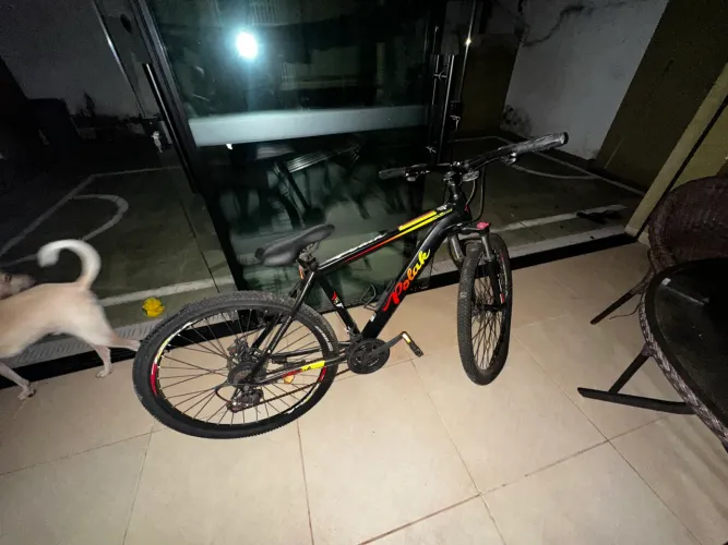 Bicicleta 