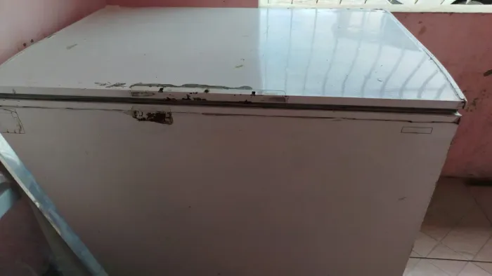 Freezer horizontal