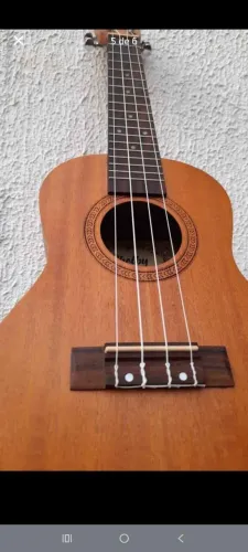 Ukulele Consert