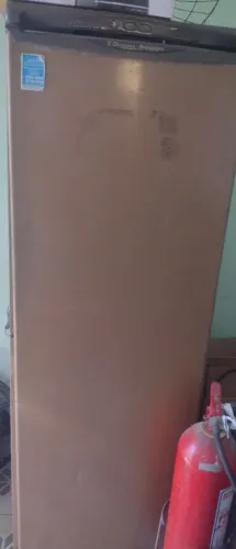 Freezer vertical