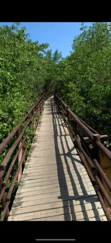 Terreno em tatuamunha-Porto de pedra/Al