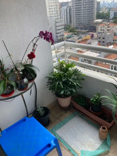 Venda Apartamento 1 Dormitórios - 71 m² Moema