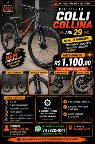 Bicicleta Colli Collina Aro 29