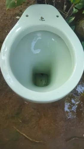 Vasos sanitários