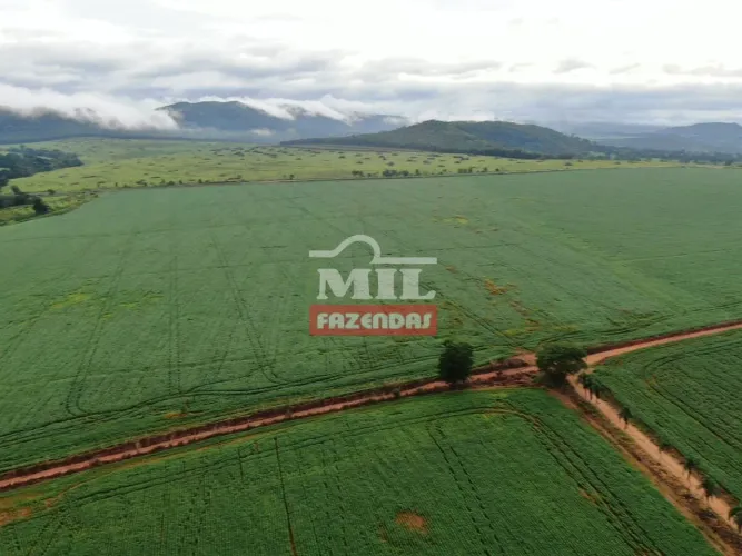 Fazenda Agrícola a 35 km Anápolis-GO. Área Total: 148 Alqueires (716 Hectares).