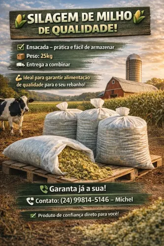 Silagem de milho ensacada 