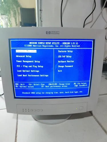 Monitor 15"  Tubo HP D8895A