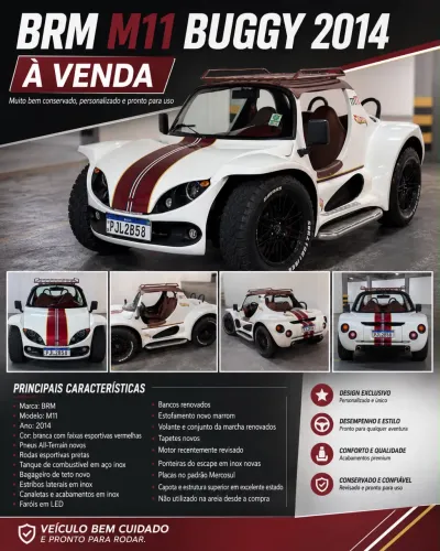 BRM Buggy /m-8/m-8 Long 1.6 2014