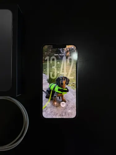 Iphone 13 Pro 256gb