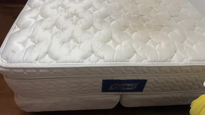 Cama Queen Probel Guarda Costas Monet