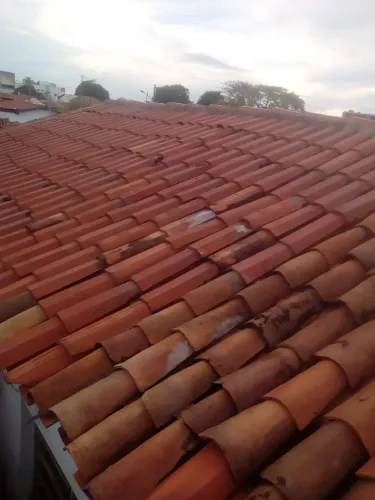tira goteiras *54 zap