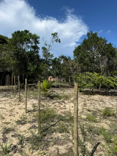 Terreno / Bairro Taípe / Arraial d`Ajuda