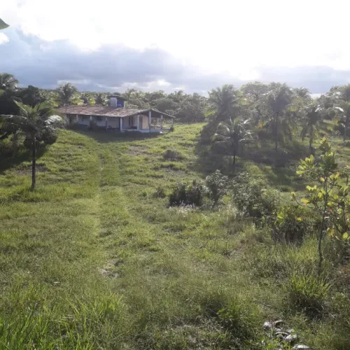 Sítio em Muriú - Ceará-Mirim/RN