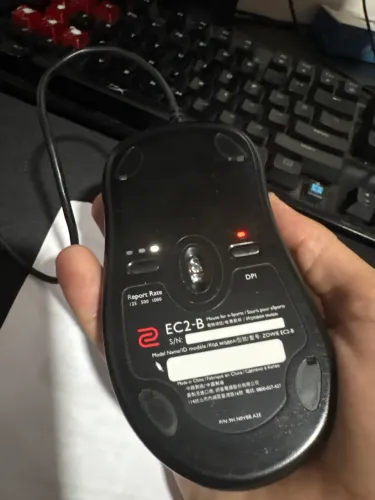 MOUSE ZOWIE EC2-B
