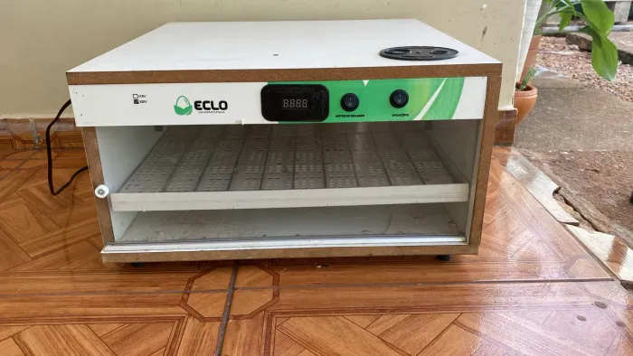 Chocadeira eclo 90 ovos 220v