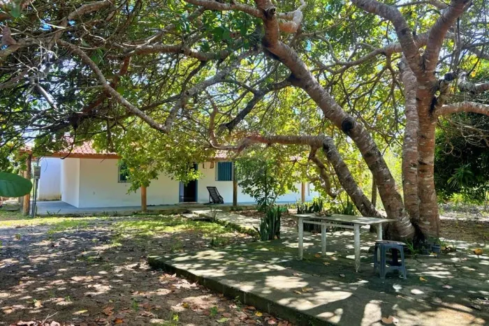 Sítio de 40.000m² a venda em Cabrália: Casa Rústica, Frutas no Pé e Renda Extra