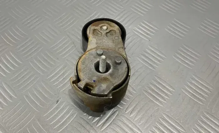 Tensor Da Correia Do Alternador Cód: 55236520
