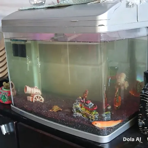 Aquario Vidro Curvo - aceito cartão e trocas