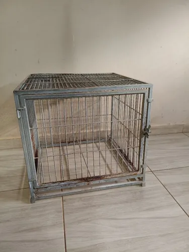 Gaiola para petshop 