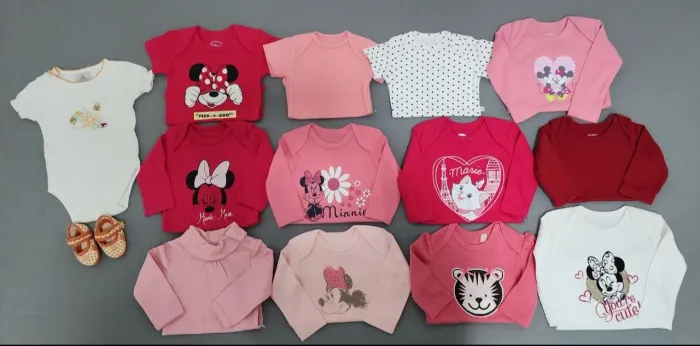 Lote de bodys bebê menina (Novos)
