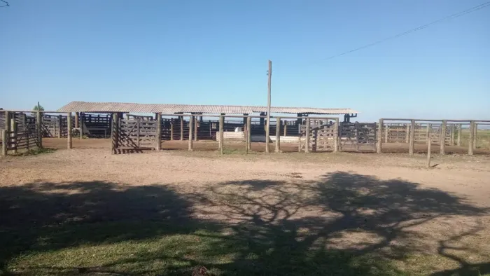 FAZENDA PLANA 8.228,000m² GUAPIMIRIM.