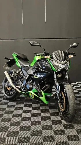 Z 300 Verde 2016