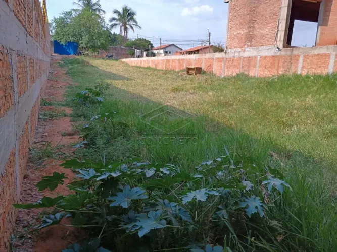 Terreno Padrão em Botucatu