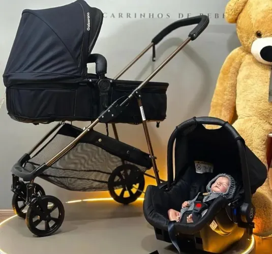 Kit de luxo Moisés+ Bebê conforto ( só interessados)
