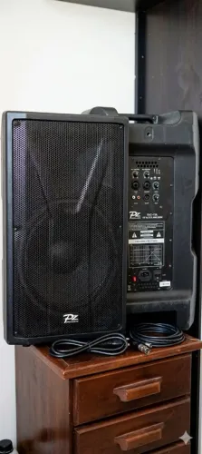 Caixa Pz 15 500W ativa 