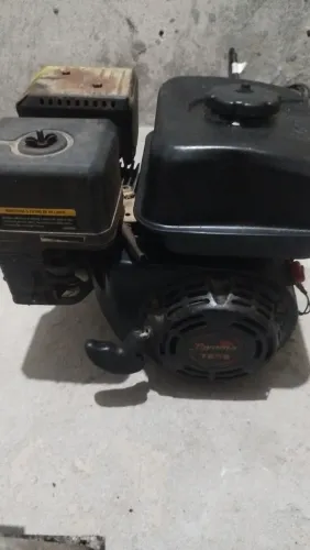 Motor com eixo chavetado Toyama 6.5 HP