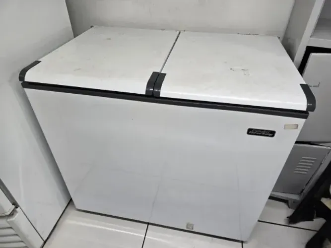 Freezer Esmaltec 325 Litros