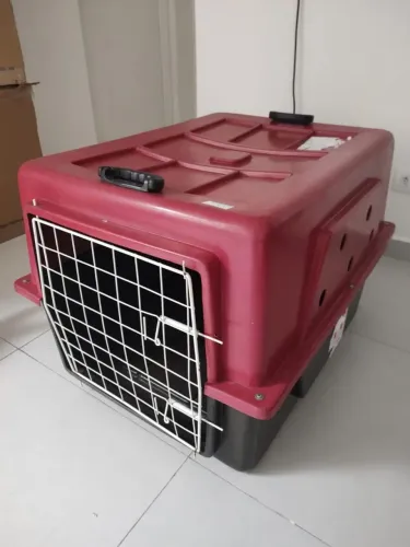 Caixa de transporte pet
