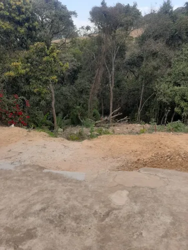 Terrenos Padrão em Caldas