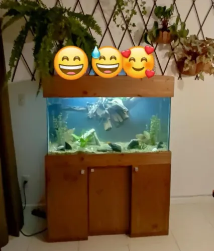 Aquário de 300 L com peça em madeira.