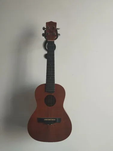 Ukulele Tagima concert