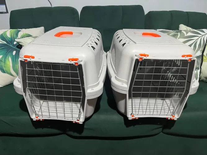 Caixa de transporte para cachorros e gatos