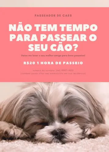 Passeador de cães. Passeio com o seu querido amigo de quatro patas ?