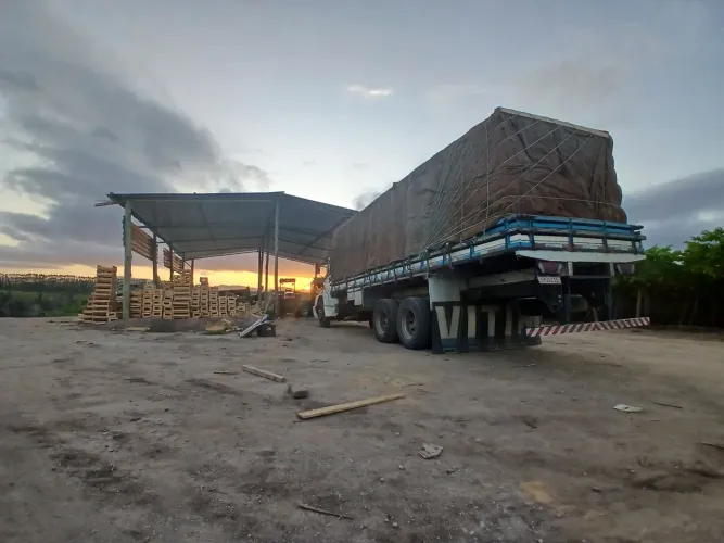 Caminhão truck