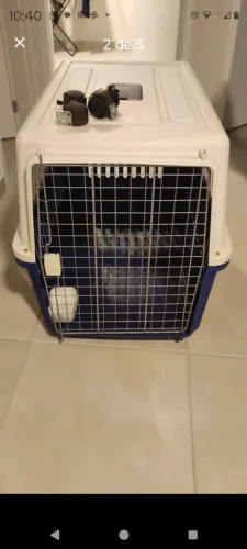 Caixa transporte Pet